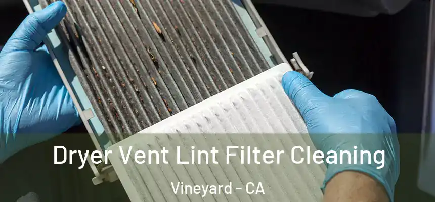  Dryer Vent Lint Filter Cleaning Vineyard - CA
