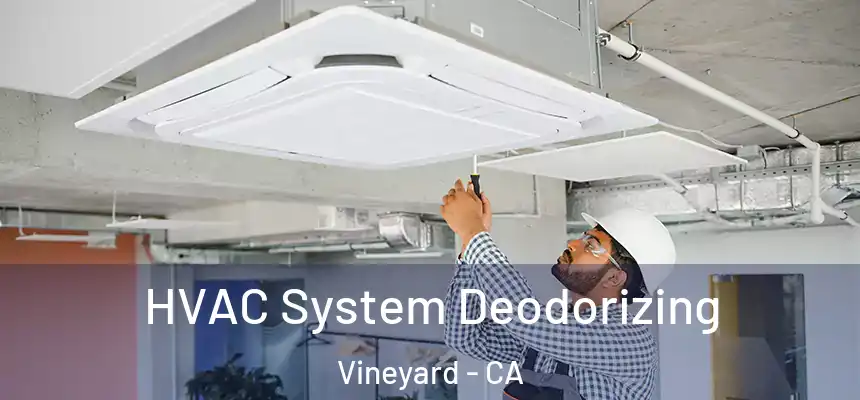 HVAC System Deodorizing Vineyard - CA