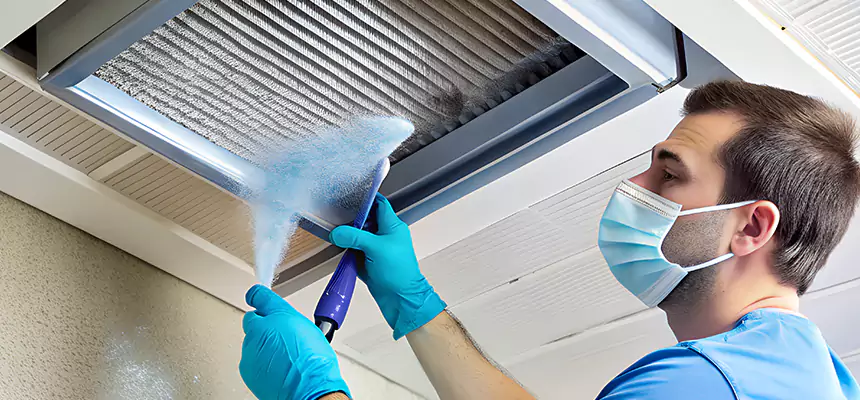 Proactive Dryer Vent & Auxiliary Duct Pollen Cleanup in Vineyard, CA