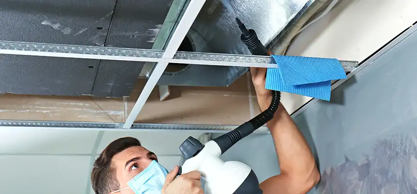 Our Air Duct Rodent Removal Services in Vineyard, CA