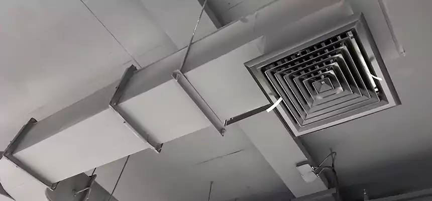 Restorative Allergy Relief Vent Cleaning – Coil, Blower & Housing Detail in Vineyard