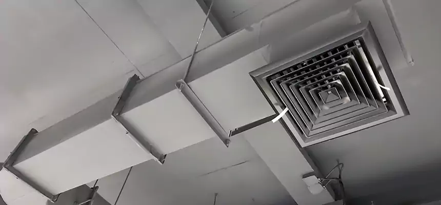 Our Pest Removal From Ducts Services in Vineyard, CA