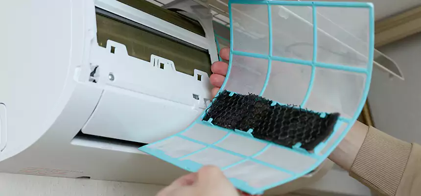 Gentle Ductwork Odor-Control Pet Dander Duct Cleaning in Vineyard, CA