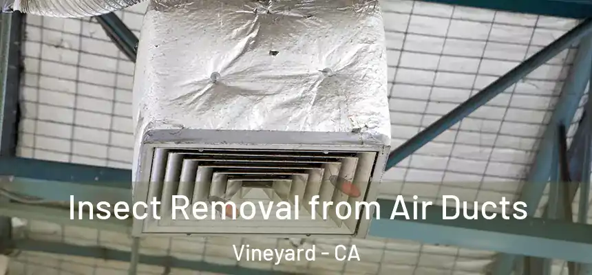  Insect Removal from Air Ducts Vineyard - CA