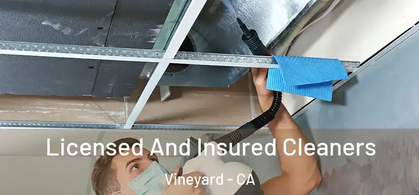  Licensed And Insured Cleaners Vineyard - CA