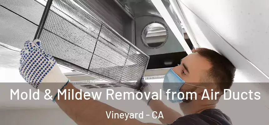  Mold & Mildew Removal from Air Ducts Vineyard - CA