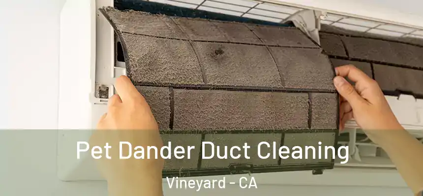 Pet Dander Duct Cleaning Vineyard - CA