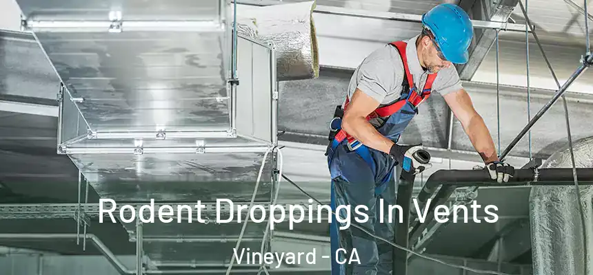 Rodent Droppings In Vents Vineyard - CA