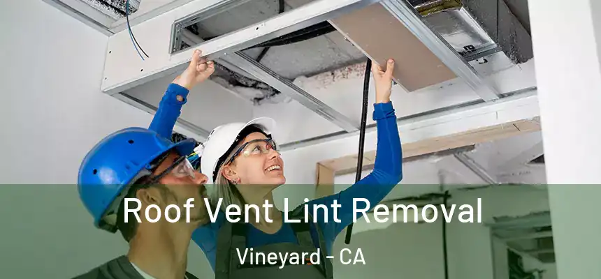  Roof Vent Lint Removal Vineyard - CA