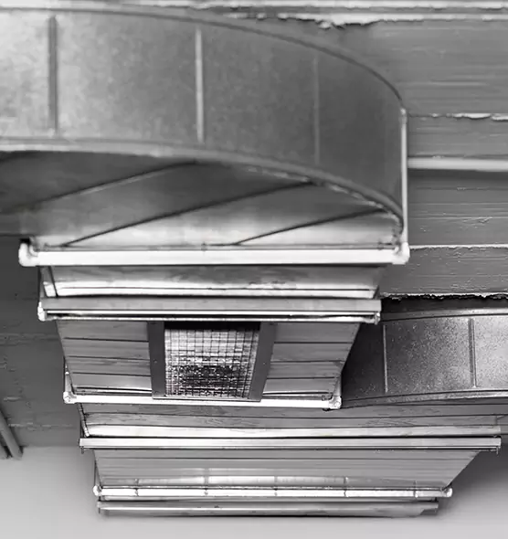 Professional Air Duct Pest Removal in Vineyard, CA