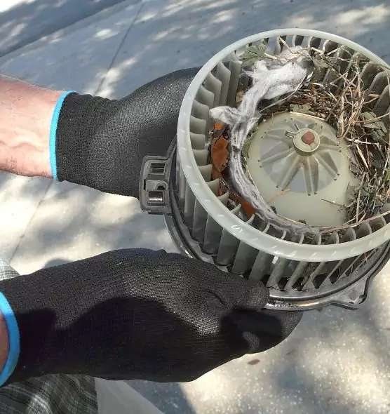 About Air Duct Rat Removal in Vineyard, CA