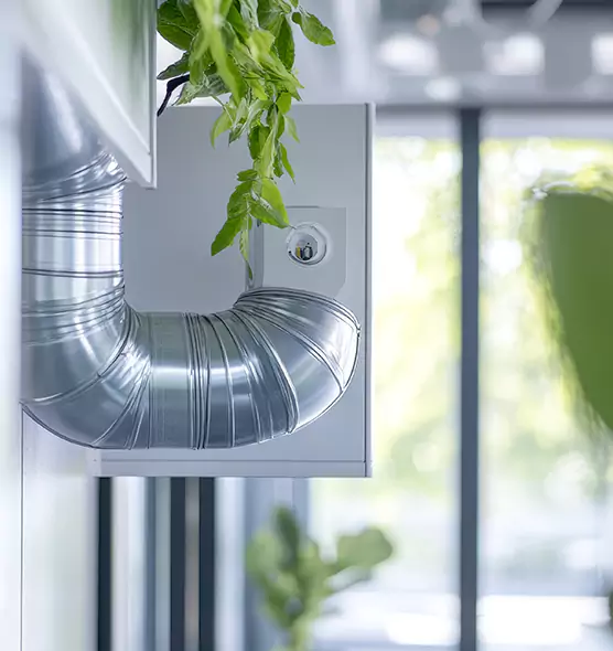 Professional Eco-Friendly Duct Cleaning Services in Vineyard, CA