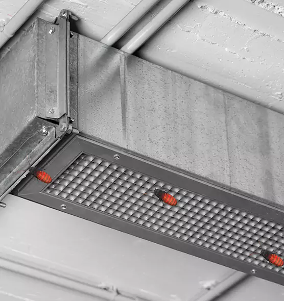 Affordable Insect Removal from Air Ducts in Vineyard, CA