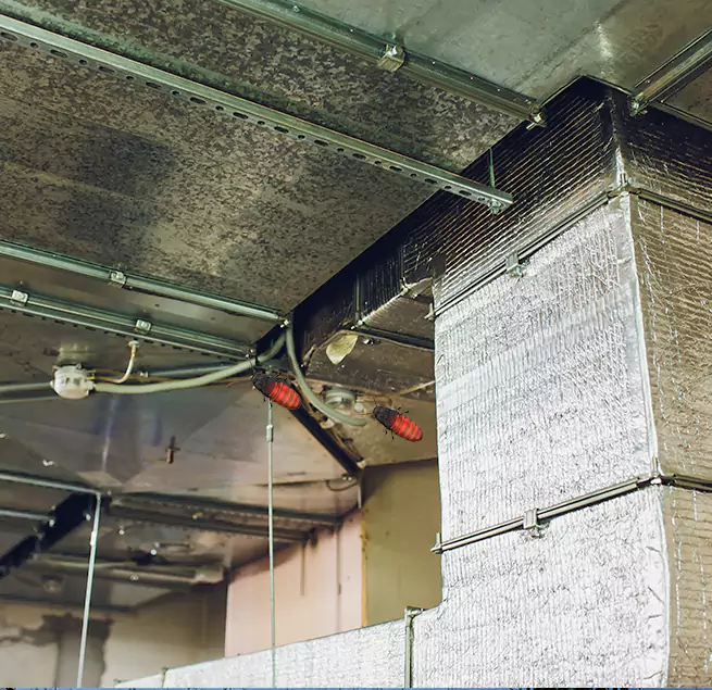 Why Homeowners & Businesses Trust Us in Vineyard, CA?