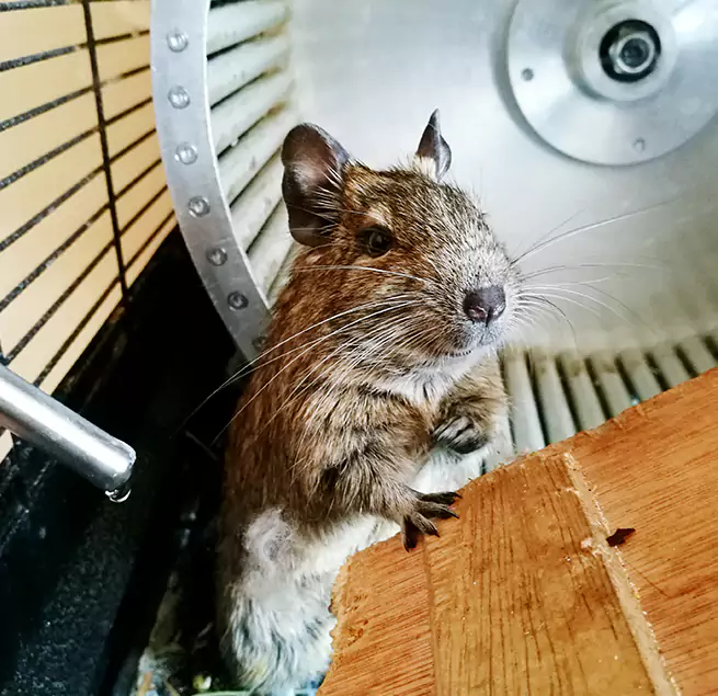 Why Homeowners & Businesses Trust Us Vineyard, CA?