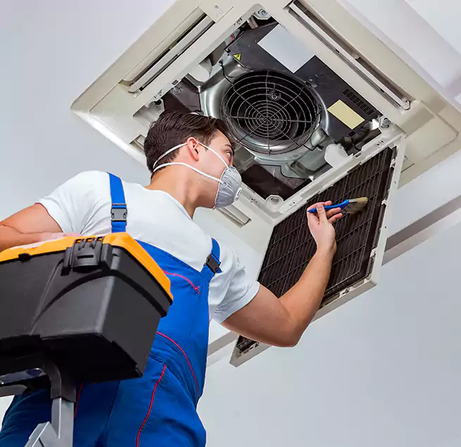 Why Homeowners & Businesses Trust Us in Vineyard, CA