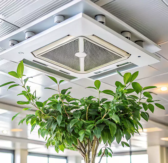 Why Homeowners & Businesses Trust Us in Vineyard, CA